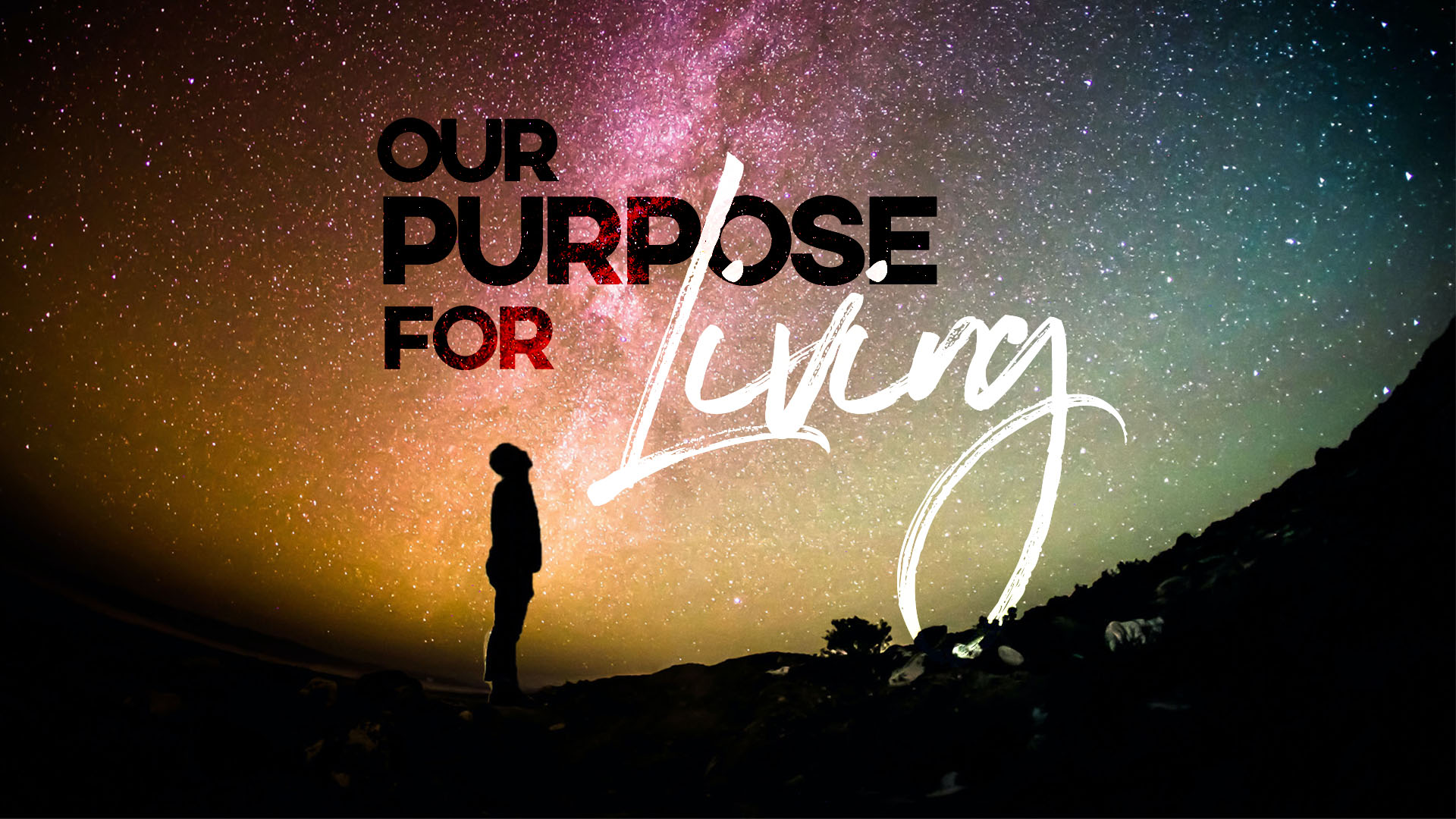 OUR PURPOSE FOR LIVING
